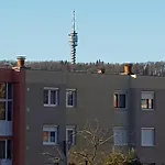 Hegyalja ザラエゲルセグ